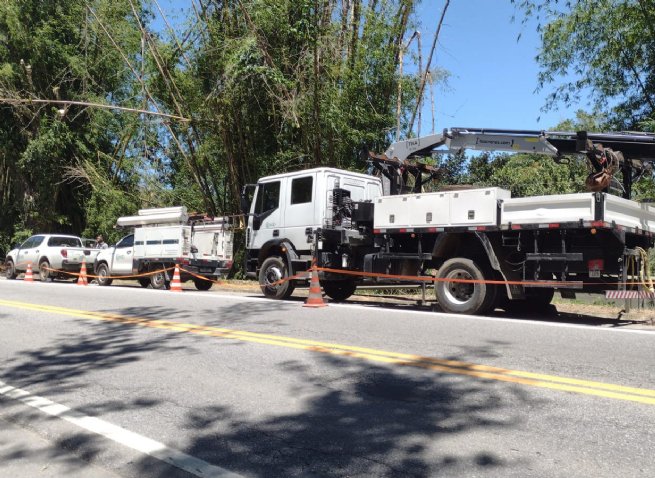 Foto: Prefeitura de São Sebastião apoia EDP em mutirão de poda de árvores na Costa Sul